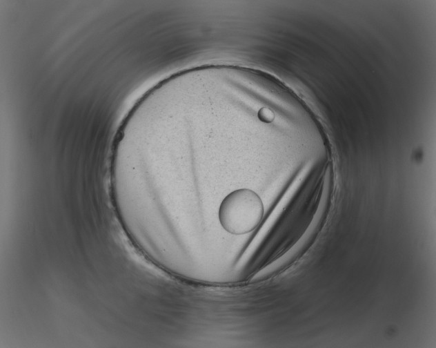 X0000116630904200912312157