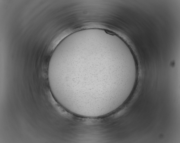 X0000116630905200912312157