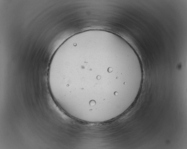 X0000116630906200912312157