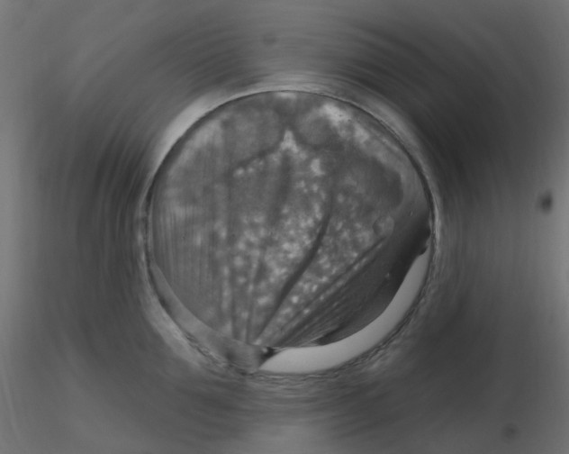 X0000116630907200912312157