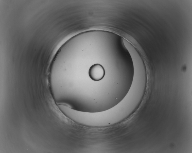 X0000116630908200912312157