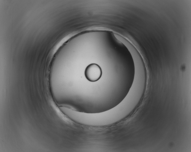 X0000116630909200912312157