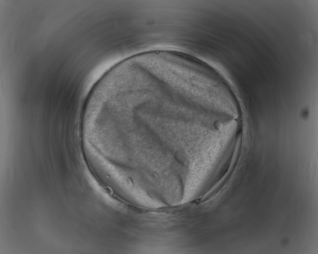 X0000116630910200912312157
