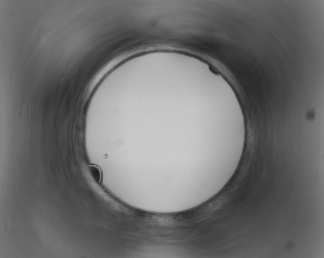 X0000116630911200912312157