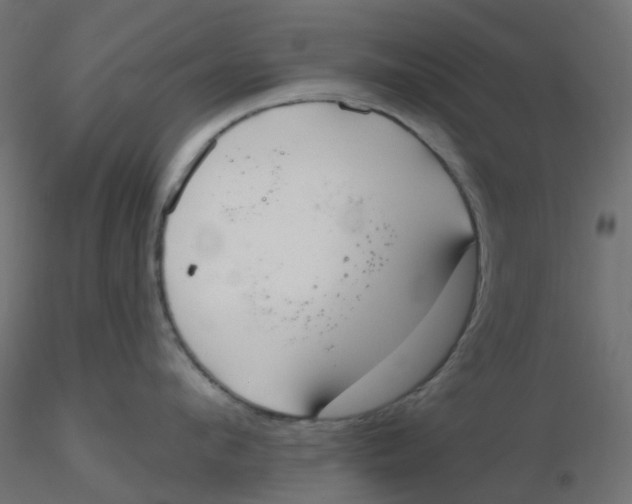 X0000116630912200912312157