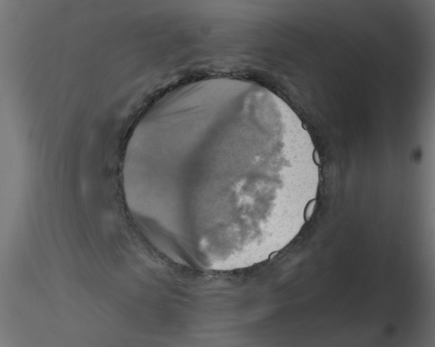 X0000116630913200912312156