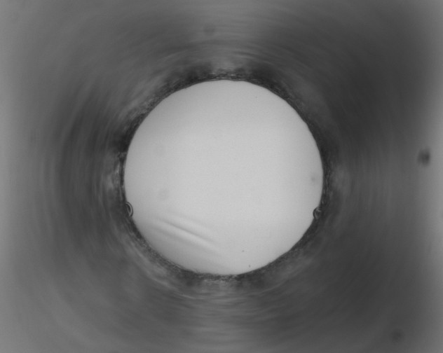 X0000116630914200912312156