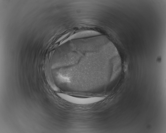 X0000116630915200912312156