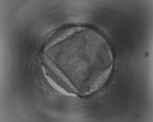 X0000116630917200912312156
