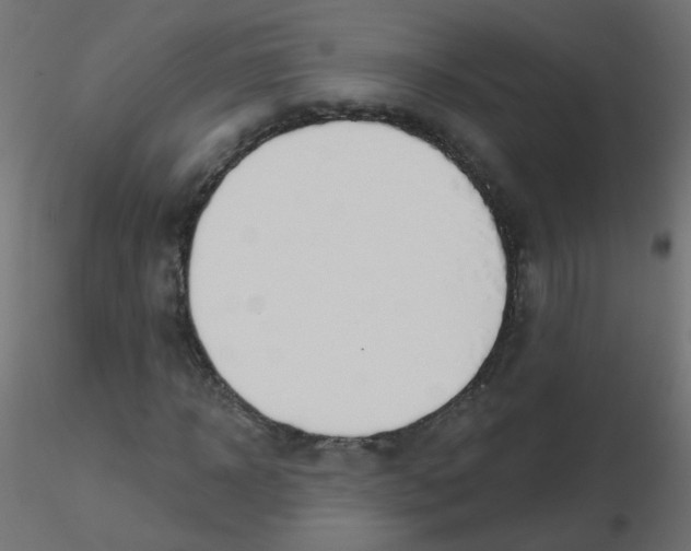 X0000116630918200912312156