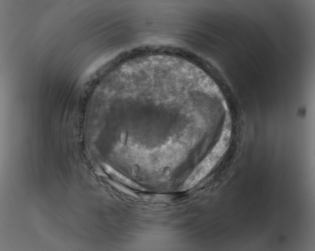 X0000116630919200912312156