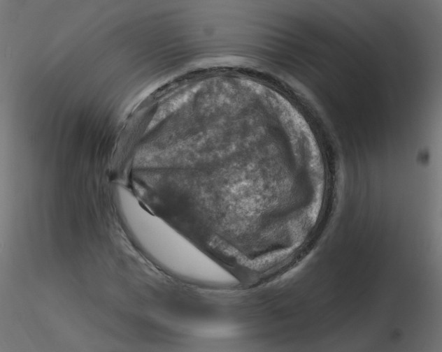 X0000116630921200912312156