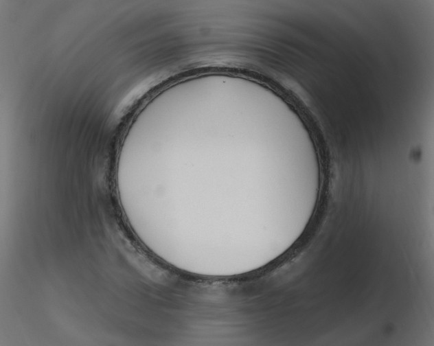 X0000116630922200912312156