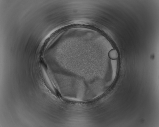 X0000116630923200912312156