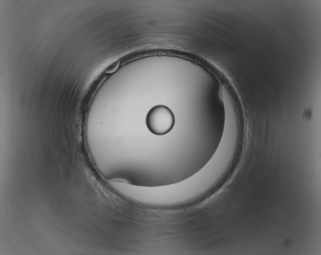 X0000116630925200912312156
