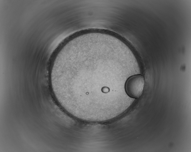 X0000116630926200912312156