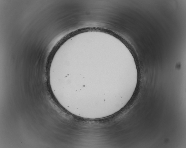 X0000116630927200912312156