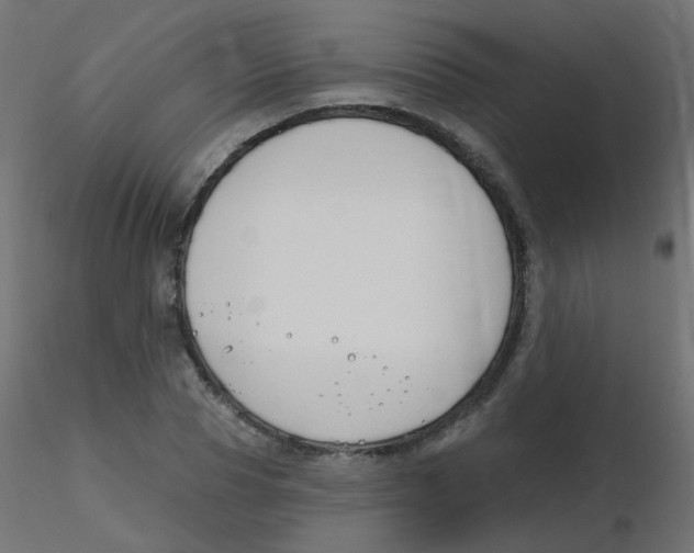 X0000116630929200912312156