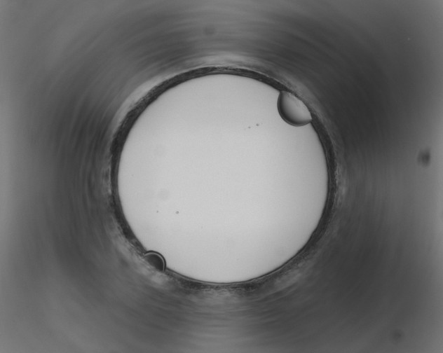 X0000116630931200912312157