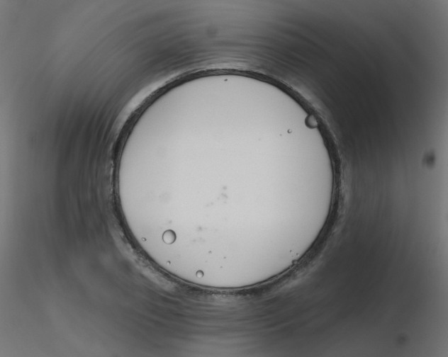 X0000116630933200912312157