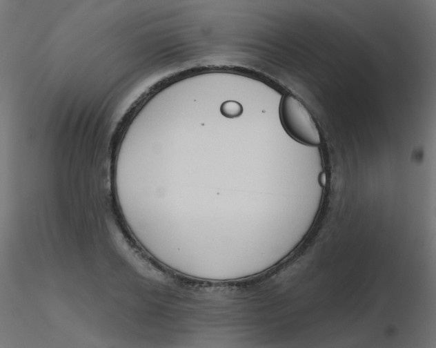 X0000116630934200912312157