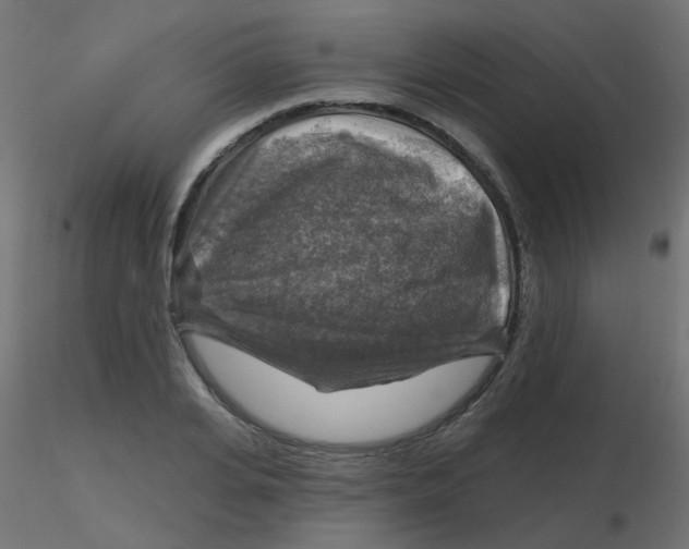 X0000116630935200912312157