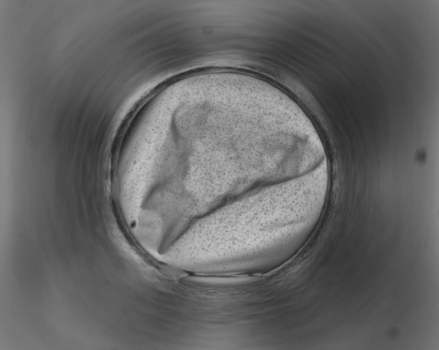 X0000116630939200912312157