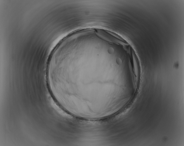 X0000116630941200912312157