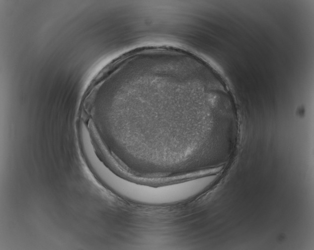 X0000116630943200912312157