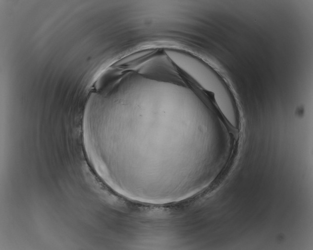 X0000116630945200912312157
