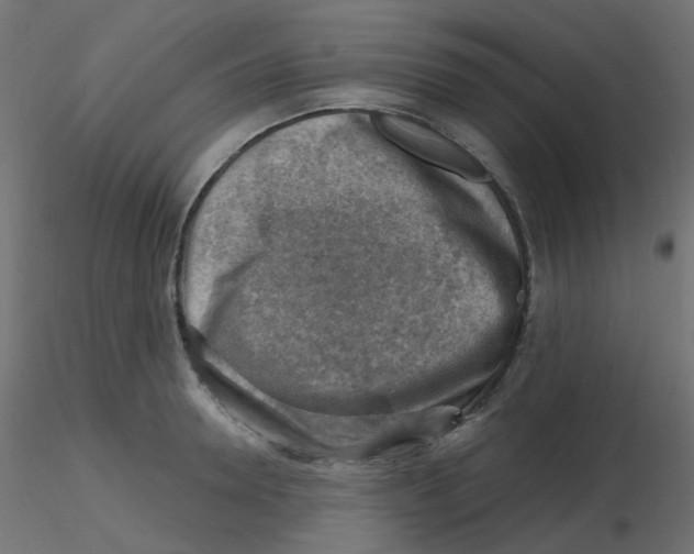 X0000116630946200912312157