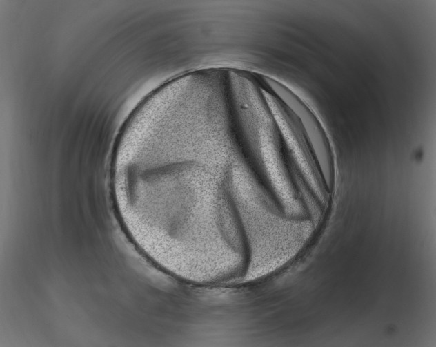X0000116630949200912312157