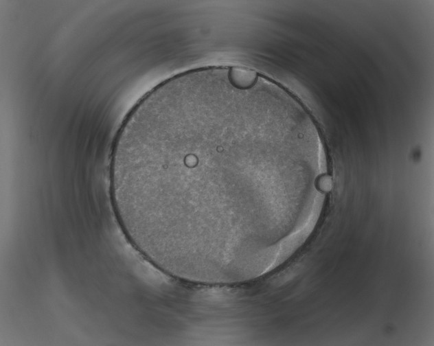 X0000116630950200912312157