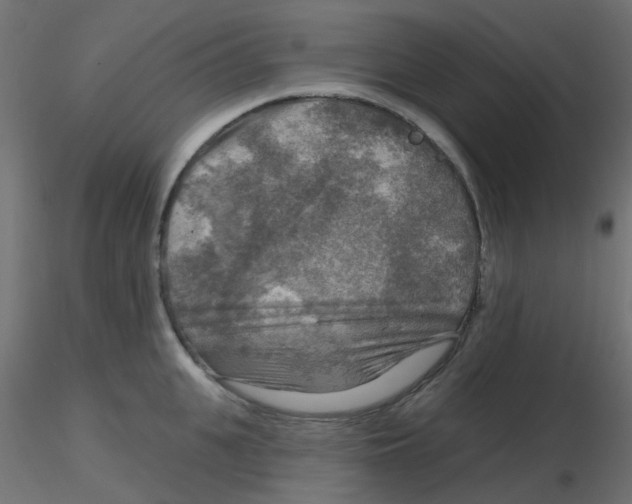 X0000116630951200912312157