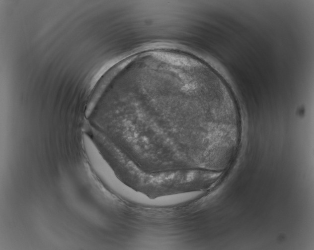 X0000116630953200912312157