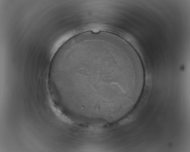 X0000116630954200912312157