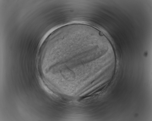 X0000116630955200912312157