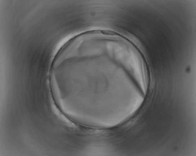 X0000116630958200912312157