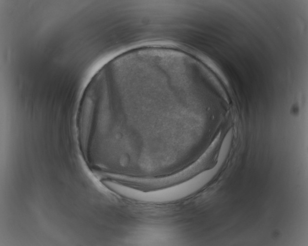 X0000116630959200912312157