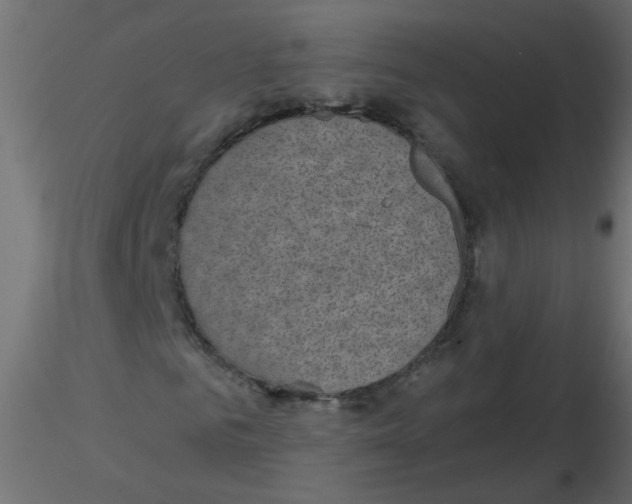 X0000116630961200912312156
