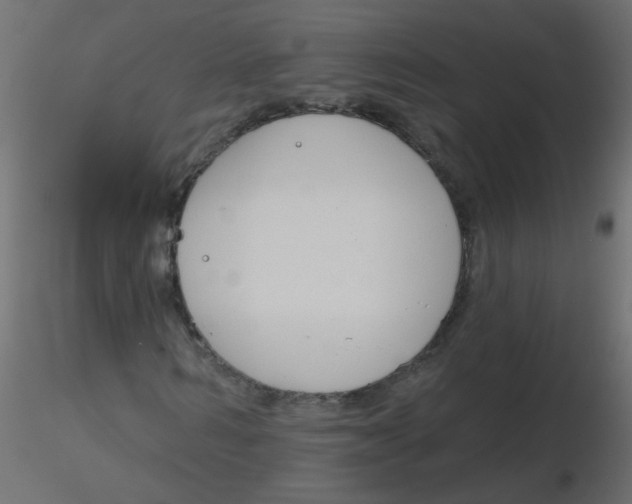 X0000116630962200912312156