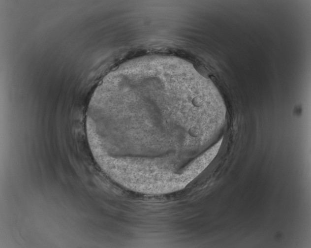 X0000116630964200912312156