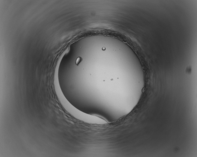 X0000116630965200912312156