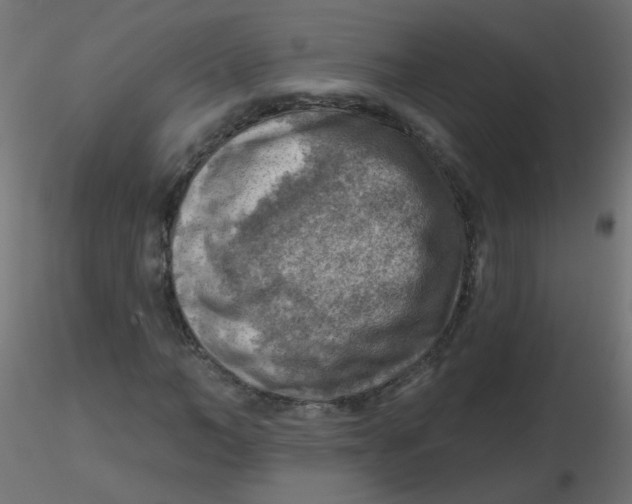 X0000116630966200912312156