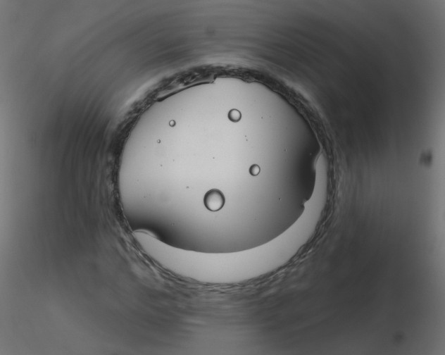 X0000116630968200912312156