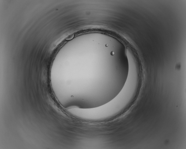 X0000116630969200912312156