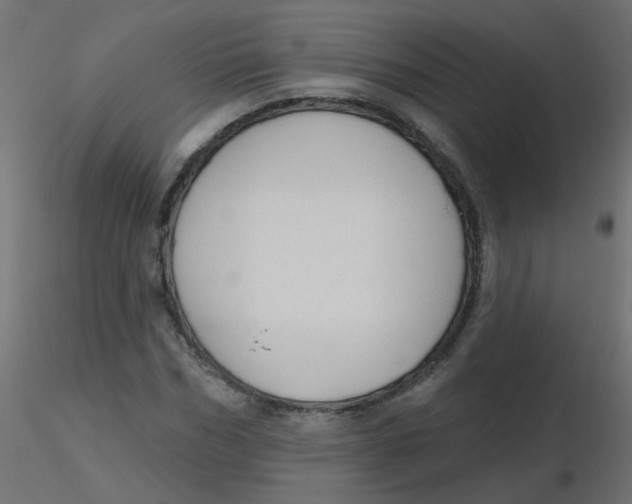 X0000116630970200912312156