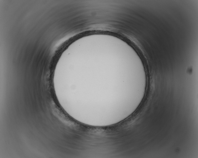 X0000116630971200912312156