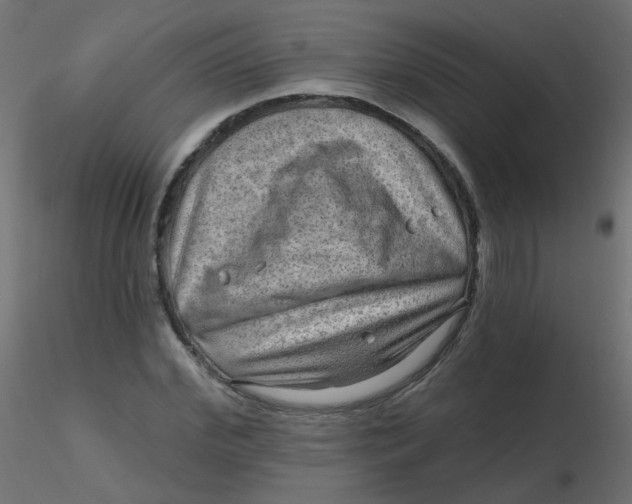 X0000116630972200912312156