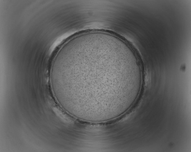 X0000116630973200912312156